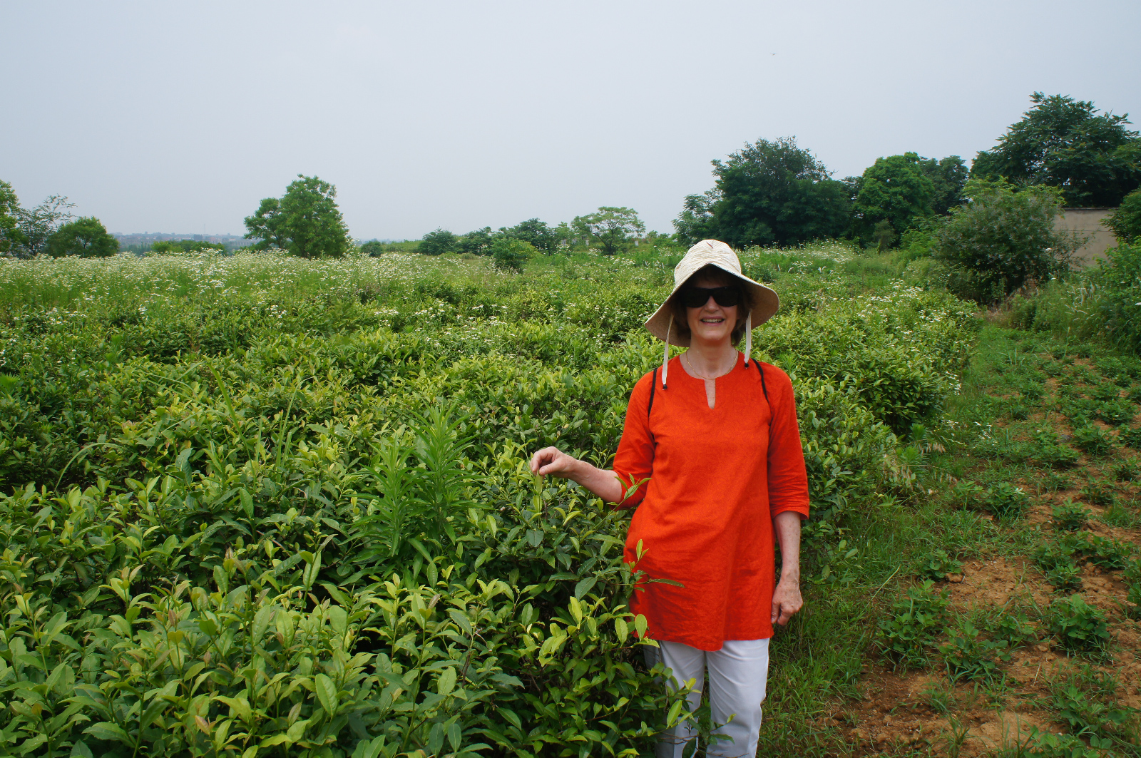 Cecile%20in%20fields2