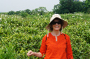 Cecile%20in%20fields1